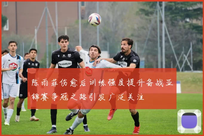 陈雨菲伤愈后训练强度提升备战亚锦赛争冠之路引发广泛关注